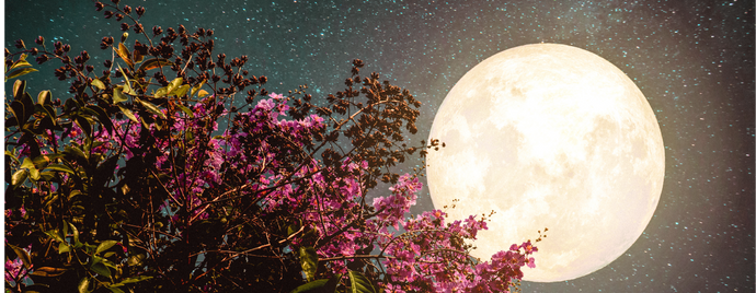 Harness the Energy of  an August Moon