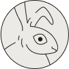 leaping bunny certified