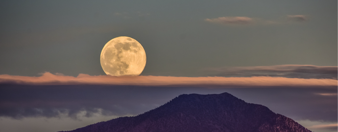 <b>The Wolf Moon</b> A True Balance of Light and Dark